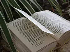 アーユルヴェーダの母体､ヒマラヤ。ここはかつて海だった場所 - アーユルヴェーダ - 海の病棟 | 福岡県大牟田市 不知火病院(うつ病の治療･入院･カウンセリング)