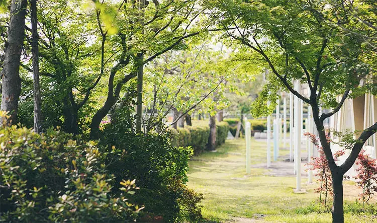 自然のリズムに身をゆだね､｢こころの真の回復｣を願う - 海の病棟 | 福岡県大牟田市 不知火病院(うつ病の治療･入院･カウンセリング)