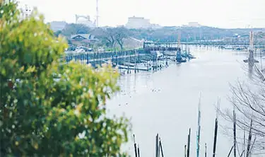 ゆっくりと疲れを癒し､本来の自分の調子を取り戻します。 - 病棟のご紹介 | 福岡県大牟田市 不知火病院(うつ病の治療･入院･カウンセリング)